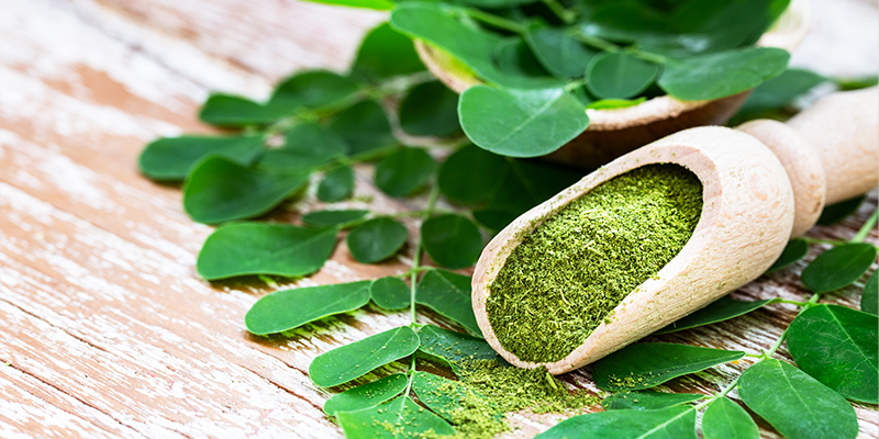 Moringa Özünün Cilt Bakımındaki Gücü ve Pielor Ürünleriyle Tanışın