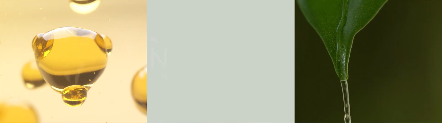 Moringa Leaf Extract Eye Makeup Remover